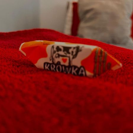 Petit 1 Bed Room Condo Warszawa Center Kültér fotó
