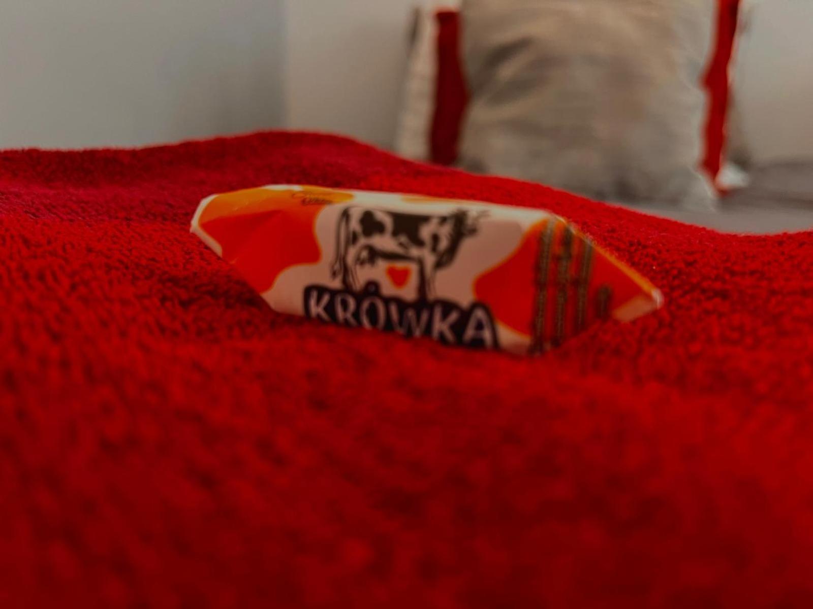 Petit 1 Bed Room Condo Warszawa Center Kültér fotó